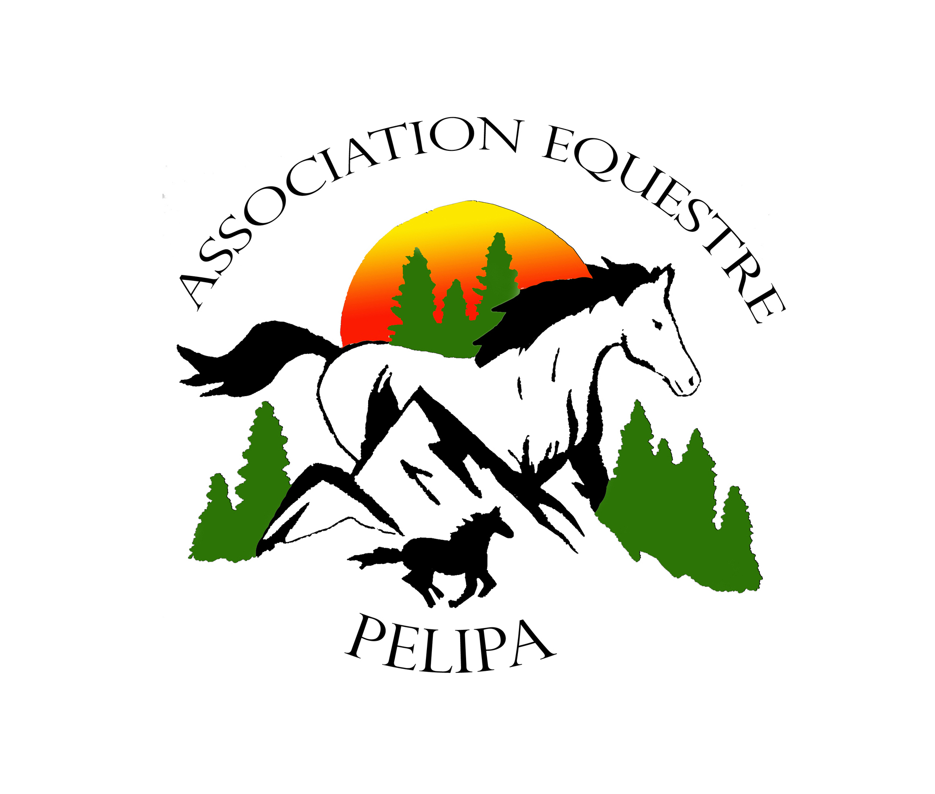 Association équestre Pelipa logo